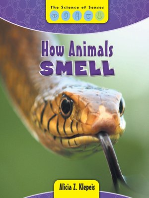 cover image of How Animals Smell